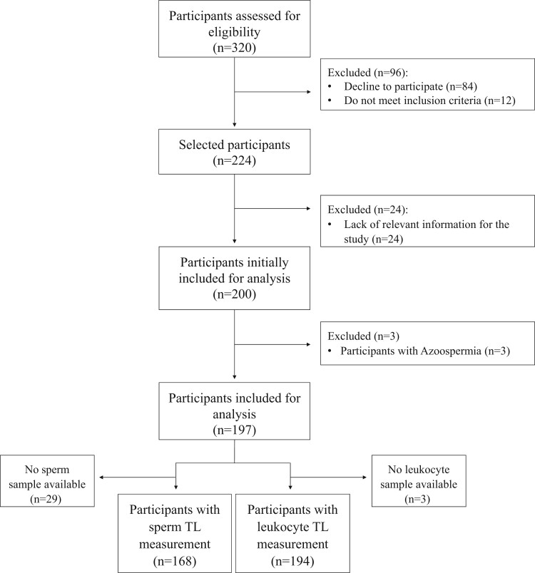 Sperm and leukocyte telomere length are related to sperm quality parameters in healthy men from the Led-Fertyl study.