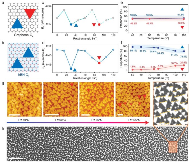 Van der Waals epitaxial growth of single-crystal molecular film.