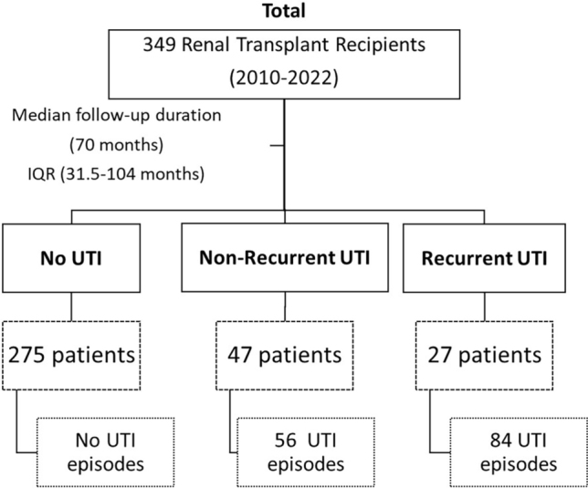 Effect of urinary tract infection on the outcome of the allograft in patients with kidney transplantation.