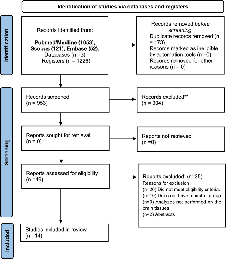 Can Environmental Enrichment Modulate Epigenetic Processes in the Central Nervous System Under Adverse Environmental Conditions? A Systematic Review.
