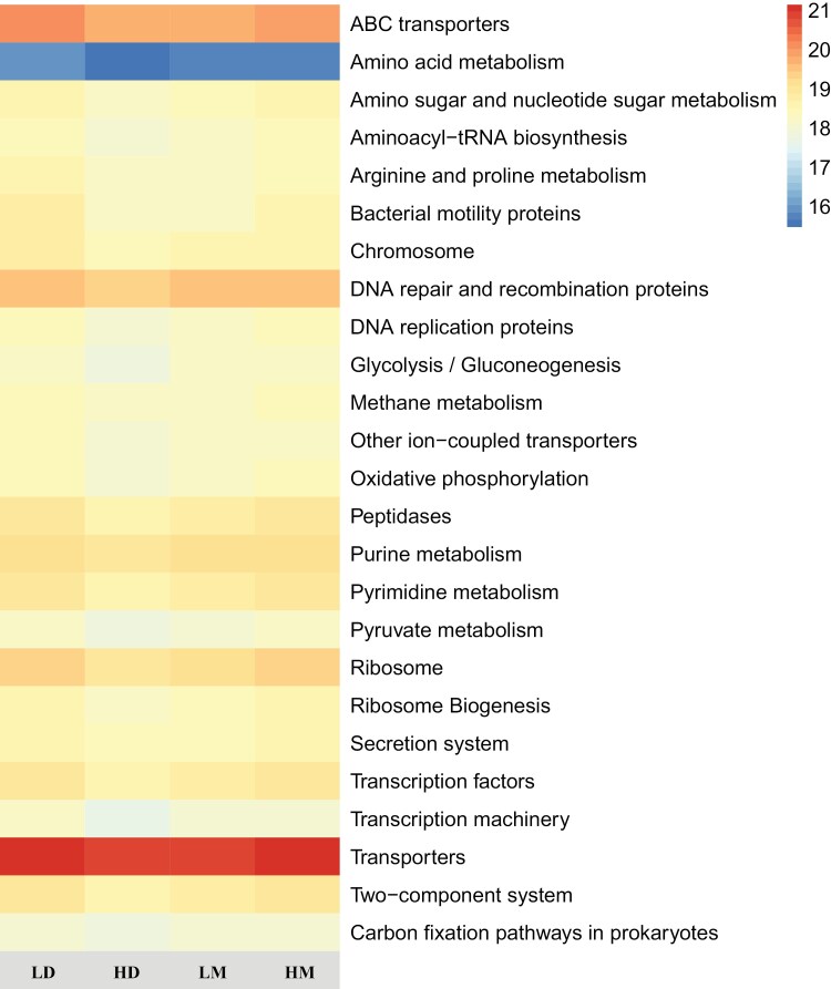 Bacterial microbiome and their assembly processing in two sympatric desert rodents (<i>Dipus sagitta</i> and <i>Meriones meridianus</i>) from different geographic sources.