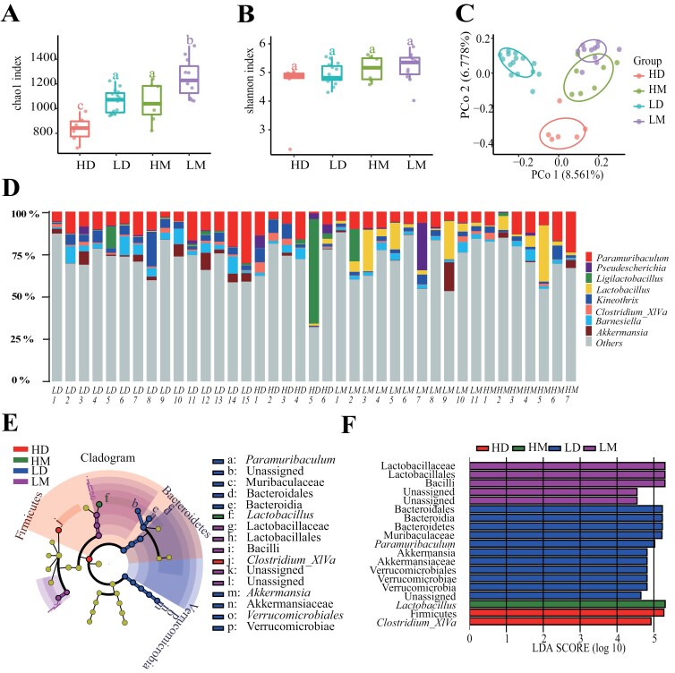 Bacterial microbiome and their assembly processing in two sympatric desert rodents (<i>Dipus sagitta</i> and <i>Meriones meridianus</i>) from different geographic sources.