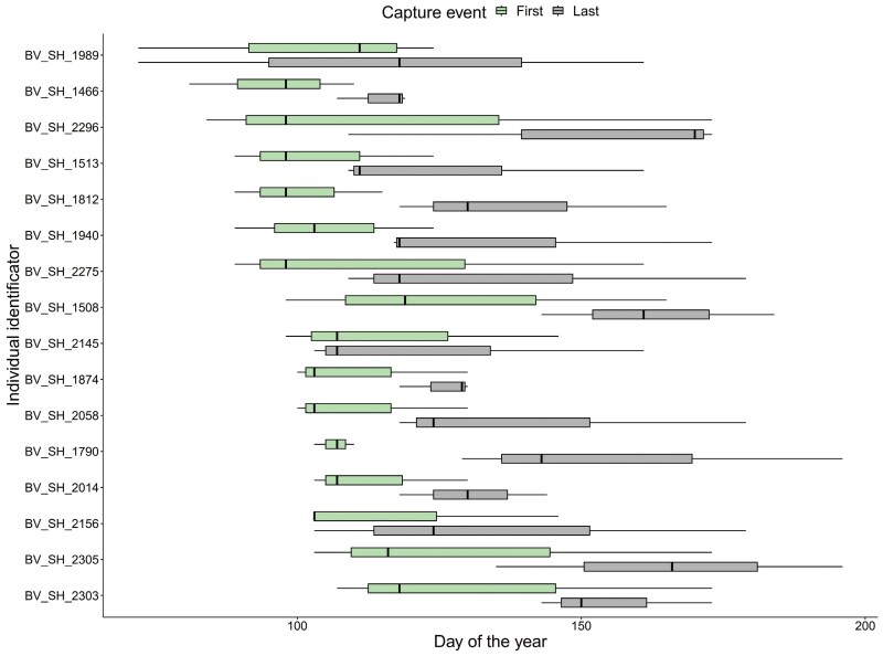 Body size and condition, not allochrony, affect temporal reproductive patterns in a prolonged breeding anuran.