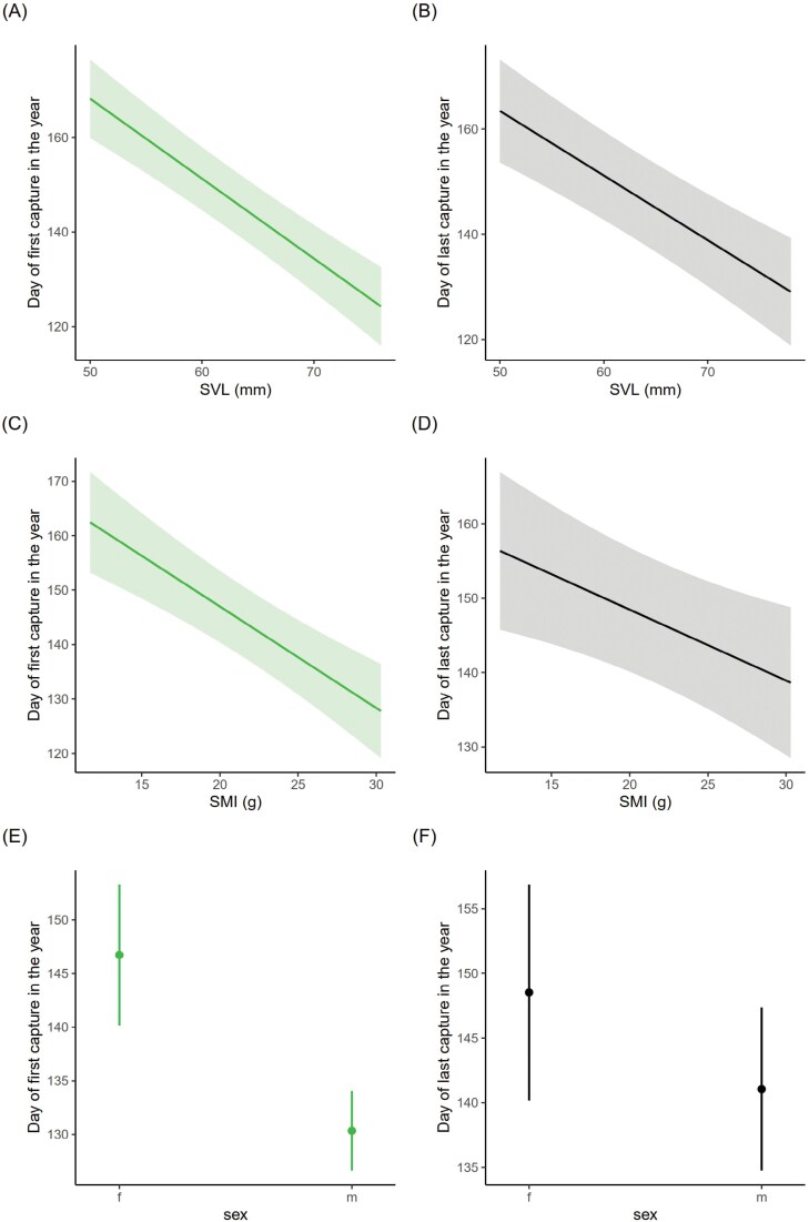 Body size and condition, not allochrony, affect temporal reproductive patterns in a prolonged breeding anuran.