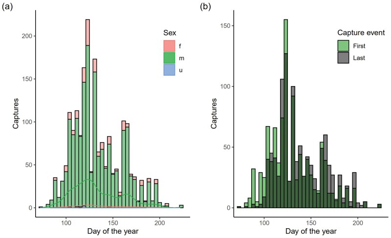 Body size and condition, not allochrony, affect temporal reproductive patterns in a prolonged breeding anuran.