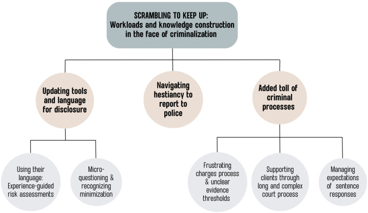 A Qualitative Exploration of the Impact of Increasing Criminalization on Domestic Violence Support Workers: Nonfatal Strangulation as a Case Study.