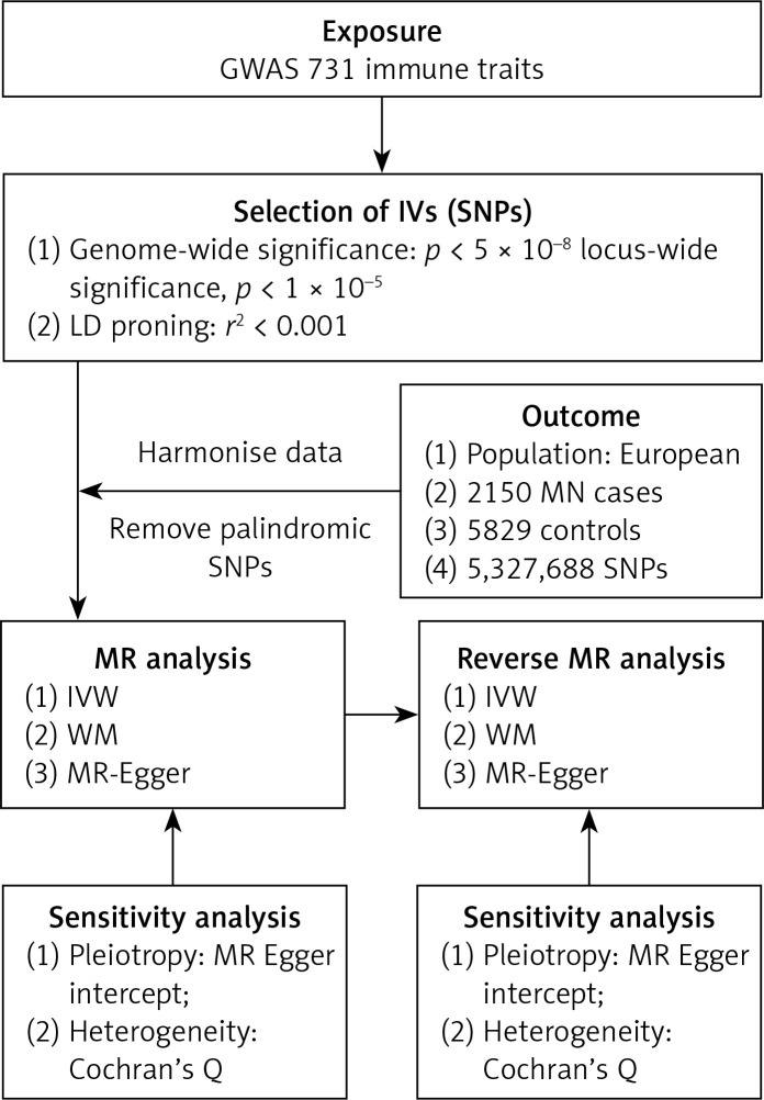 Association between immune cells and membranous nephropathy: a two-sample Mendelian randomization study.