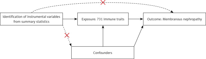 Association between immune cells and membranous nephropathy: a two-sample Mendelian randomization study.