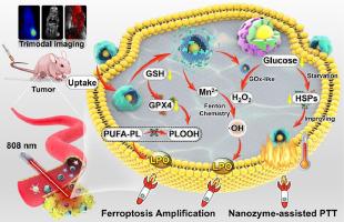 Multi-responsive cascade enzyme-like catalytic nanoassembly for ferroptosis amplification and nanozyme-assisted mild photothermal therapy