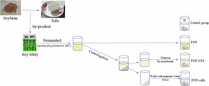 Lactiplantibacillus plantarum 299V-fermented soy whey improved the safety and shelf life of Pacific oysters (Magallana gigas)