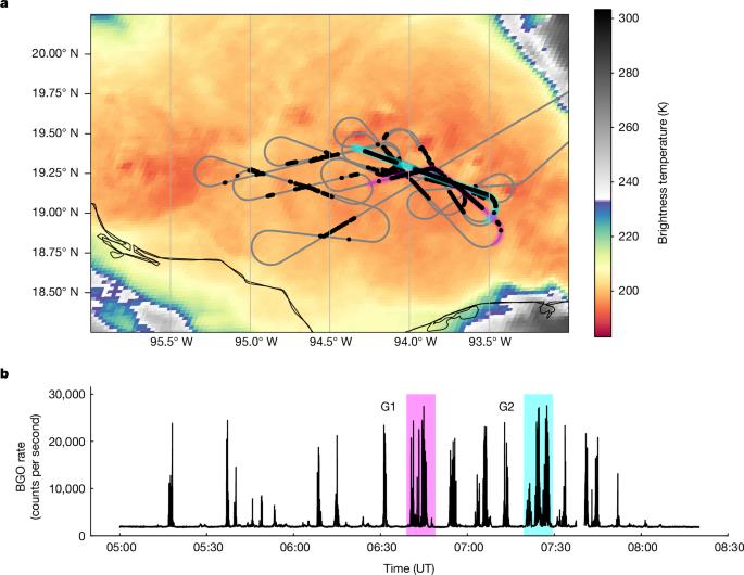 Highly dynamic gamma-ray emissions are common in tropical thunderclouds