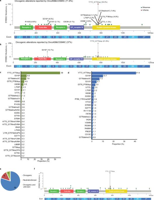 Molecular landscape of ERBB2 alterations in 3000 advanced NSCLC patients