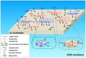 Enhancing the corrosion inhibition of copper sheets in oil-in-water (O/W) emulsions by combining two organic heterocyclic derivatives