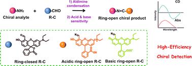 High-efficiency detection of primary amine-based chiral molecules by a facile aldimine condensation reaction†