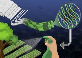 Chemical induces microstructural transformation of pulp fibre to colloidal cellulose for sustainable plant protection†