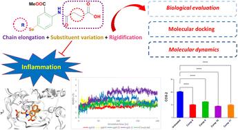 Investigating the anti-inflammatory potential of N-amidic acid organoselenium candidates: biological assessments, molecular docking, and molecular dynamics simulations†