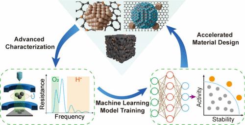 Strategies for Carbon Support Design in Fuel Cells