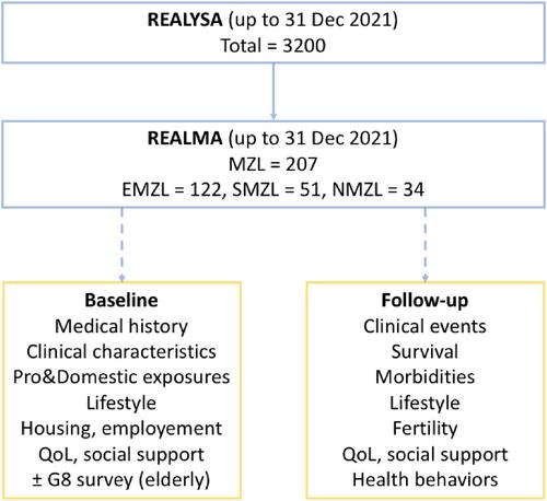 Real-world data for marginal zone lymphoma patients in the French REALYSA cohort: The REALMA study