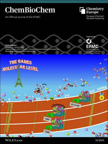 Cover Feature: Allosteric Effects of EF-G Domain I Mutations Inducing Ribosome Frameshifting Revealed by Multiplexed Force Spectroscopy (ChemBioChem 19/2024)