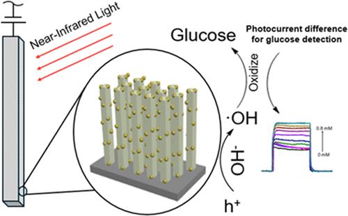 Integration of NiTiO3 Films onto TiO2 Nanorods as Photoanodes for Glucose Detection with Near-Infrared Light