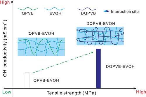 Hydrogen Bonding Dominated Anion-Exchange Membranes Based on Flexible and Rigid Backbones