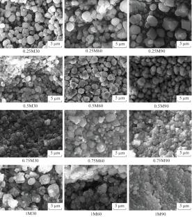 Optimization of the Mineralization Process of Polycaprolactone Fibers with Vaterite Microparticles