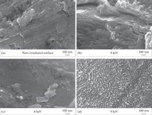 Modification of the Surface Topography of Additive Materials under Ar\({}^{\mathbf{+}}\) Ion Irradiation