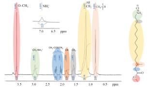 “2+1B” Technetium-99m Tricarbonyl Complexes with N,N'-Bidentate Ligands and Methyl 14-Isocyano-3-methyltetradecanoate