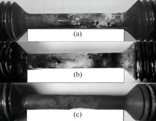 High-Temperature Gas and Salt Corrosion of Nickel Alloy