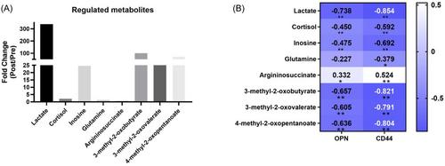 Combined proteomics and metabolomics analysis reveal the effect of a training course on the immune function of Chinese elite short-track speed skaters