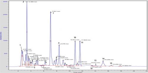 The Bioprotective Effects of Marigold Tea Polyphenols on Obesity and Oxidative Stress Biomarkers in High-Fat-Sugar Diet-Fed Rats