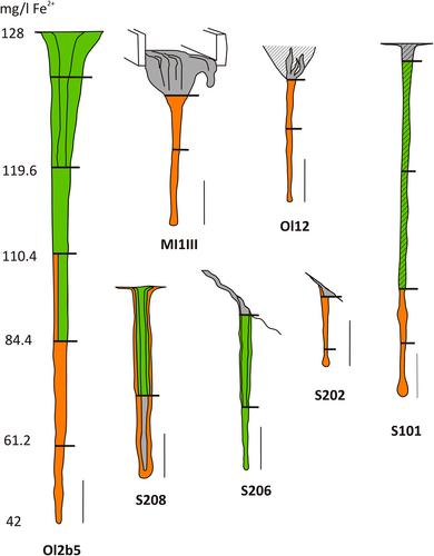 Distinct microbial communities supported by iron oxidation