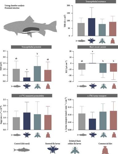 Seaweed Fly Larvae Cultivated on Macroalgae Side Streams: A Novel Marine Protein and Omega-3 Source for Rainbow Trout