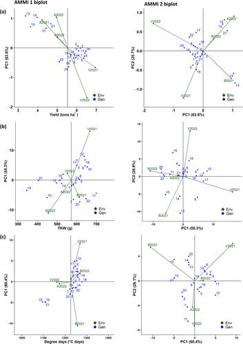 Unveiling Phenotypic and Environmental Dynamics: Exploring Genetic Stability and Adaptability of Faba Bean Cultivars in Norwegian Climates