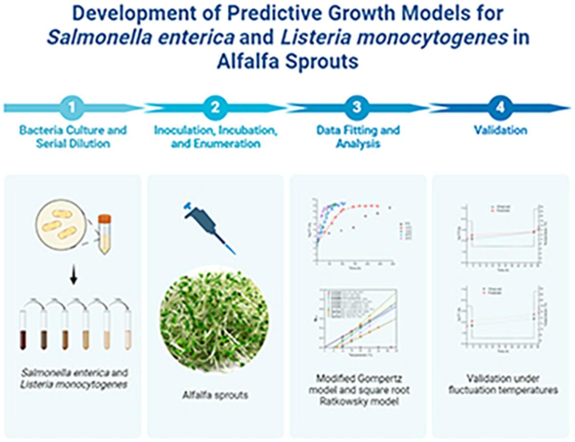 Assessment and Validation of Predictive Growth Models for Locally Isolated Salmonella enterica and Listeria monocytogenes in Alfalfa Sprouts at Various Temperatures