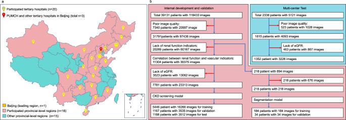 Screening chronic kidney disease through deep learning utilizing ultra-wide-field fundus images