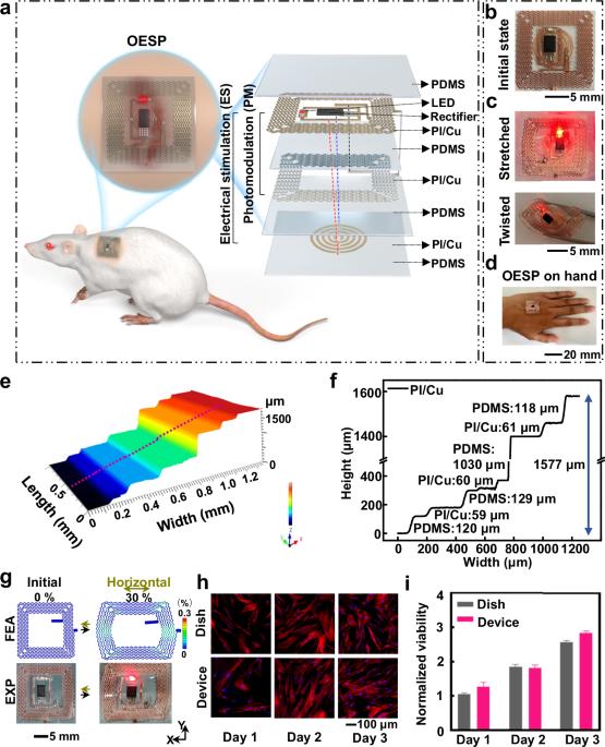 Stretchable wireless optoelectronic synergistic patches for effective wound healing