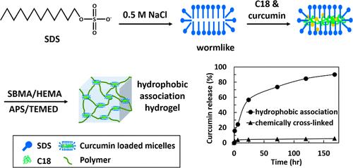 Enhanced Poly(SBMA/HEMA) Hydrogels: Superior Toughness, Biocompatibility, and Antibacterial Efficacy