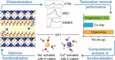 Organometallic functionalized clays for technetium immobilization