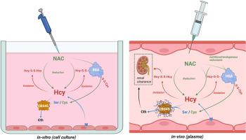 Mechanism of action and impact of thiol homeostasis on efficacy of an enzyme replacement therapy for classical homocystinuria