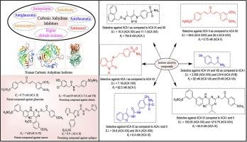 Carbonic anhydrases: Moiety appended derivatives, medicinal and pharmacological implications