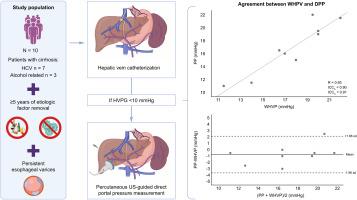 Persistent varices in cured patients: Understanding the role of hepatic venous pressure gradient