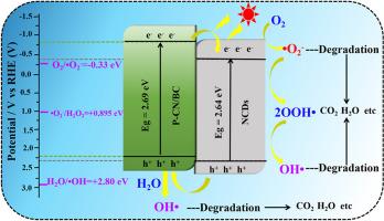 A novel metal-free nanomaterial P-CN/BC/NCDs preparation and its performance of photocatalytic degradation