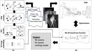 Semantic aware representation learning for optimizing image retrieval systems in radiology