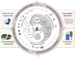 Engineered transcription factor-binding diversed functional nucleic acid-based synthetic biosensor