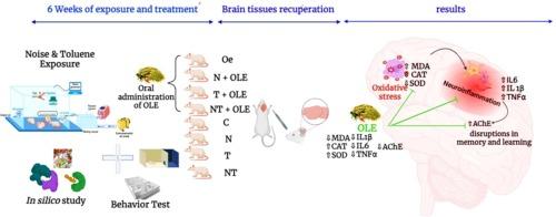 Neuroprotective effects of Olea europaea L. leaf extract on neuroinflammation and memory impairment induced by toluene and noise exposure: Assessing brain changes in rat