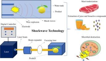 Laser induced shockwave technology: A critical review on mechanism, equipment configuration and application for sustainable food processing