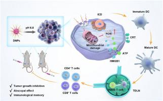 Tumor microenvironment-activated polypeptide nanoparticles for oncolytic immunotherapy