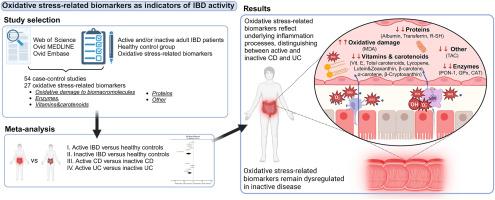 Oxidative stress-related biomarkers as promising indicators of inflammatory bowel disease activity: A systematic review and meta-analysis