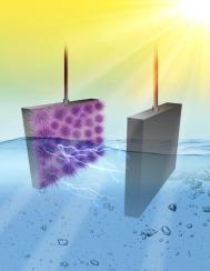 Unveiling light-modulated capacitance of sea urchin like δ-MnO2: A smart flexible photocapacitive device